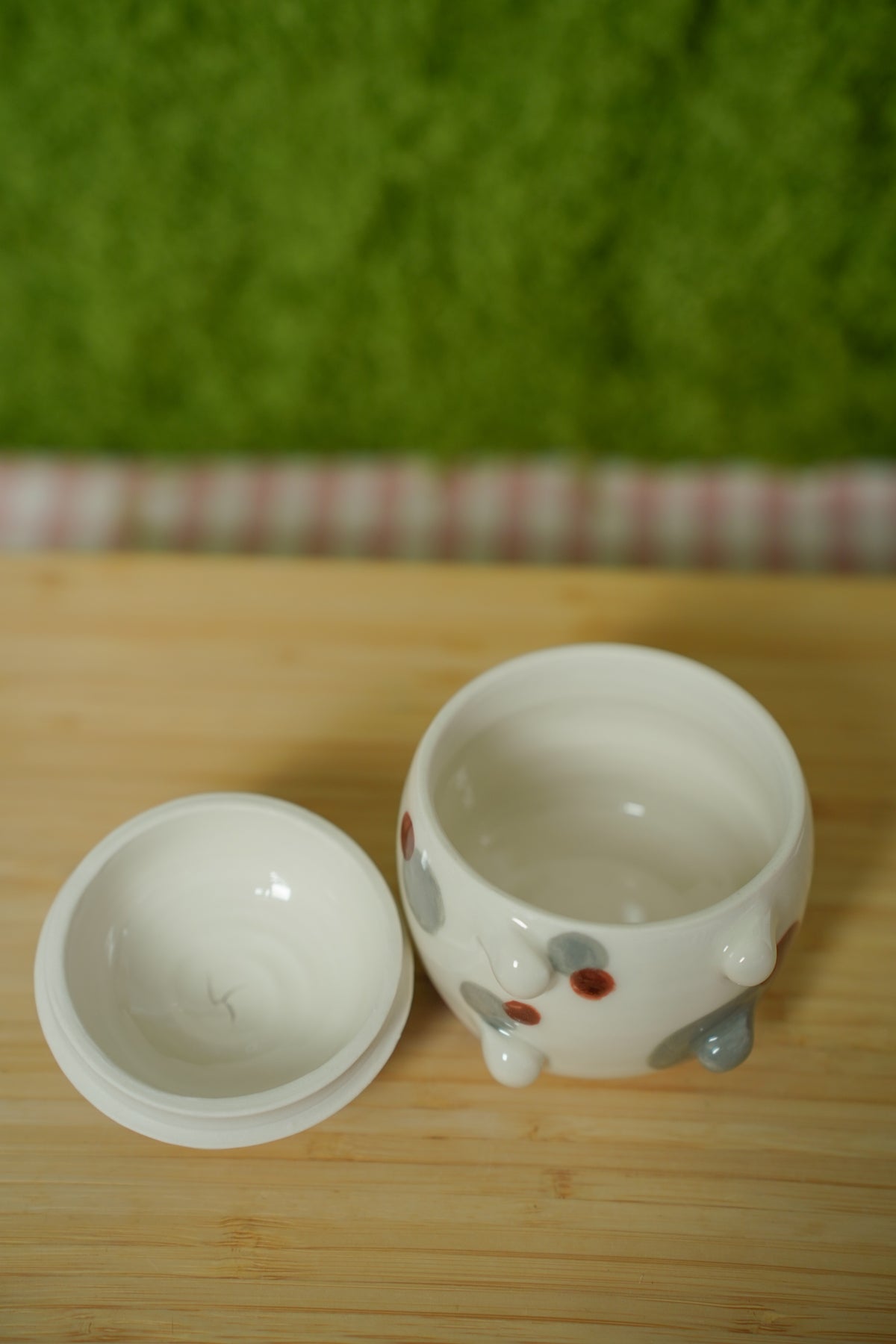 Guinea Pig Jar B grade