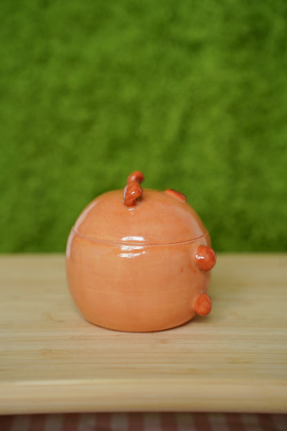 Guinea Pig Jar Brown