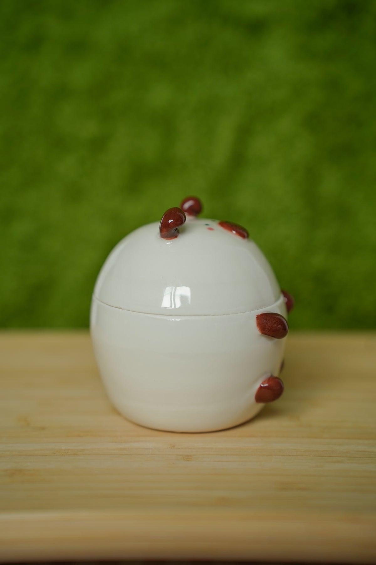 Guinea Pig Jar Californian