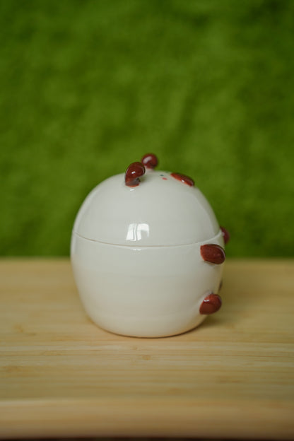Guinea Pig Jar Californian
