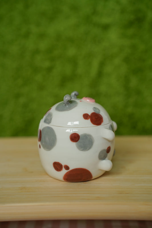 Guinea Pig Jar B grade