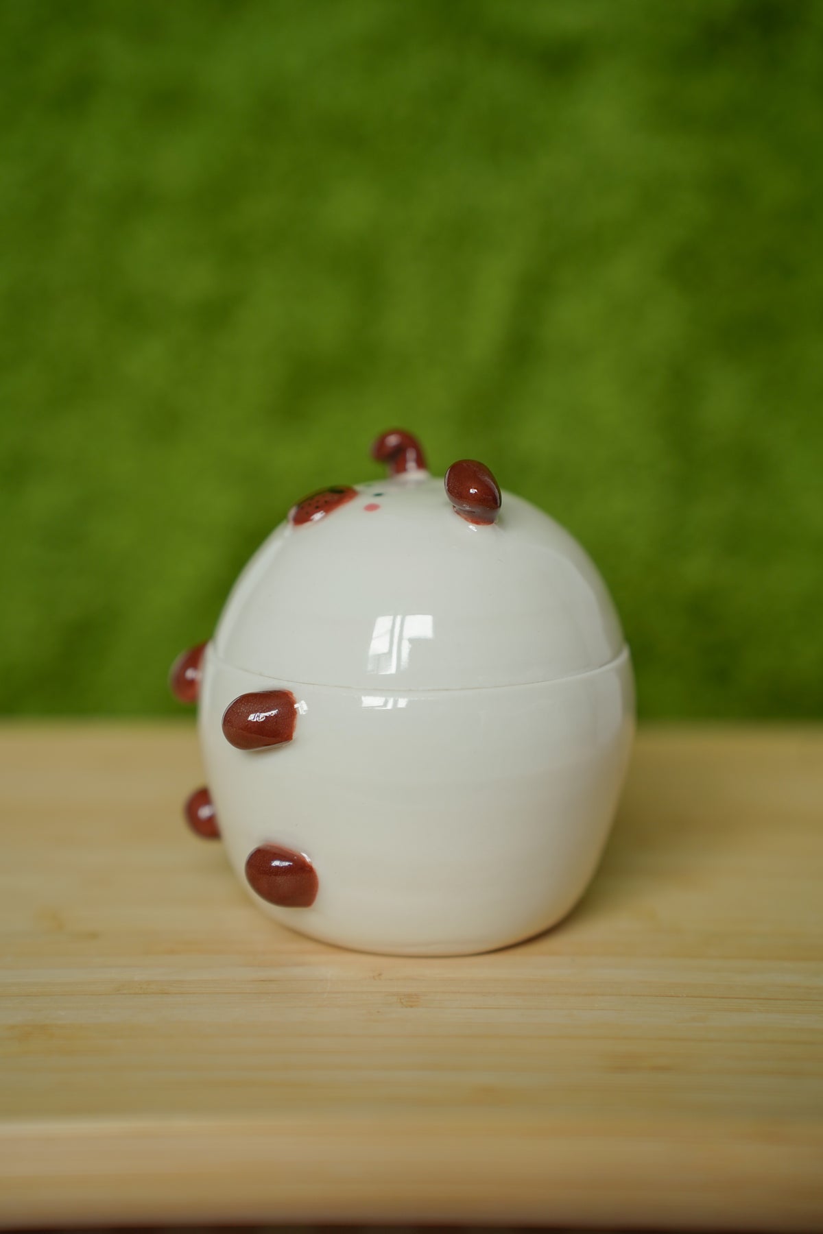 Guinea Pig Jar Californian