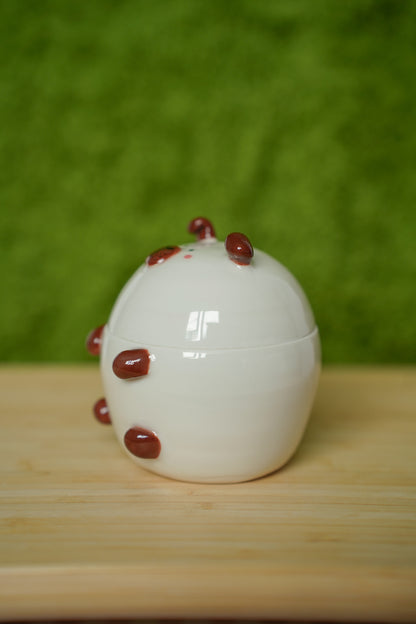 Guinea Pig Jar Californian