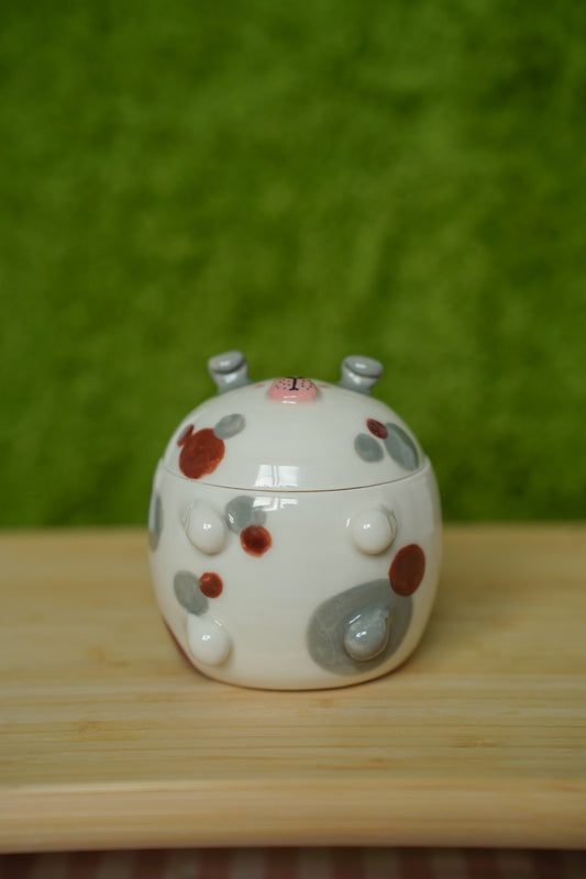 Guinea Pig Jar B grade
